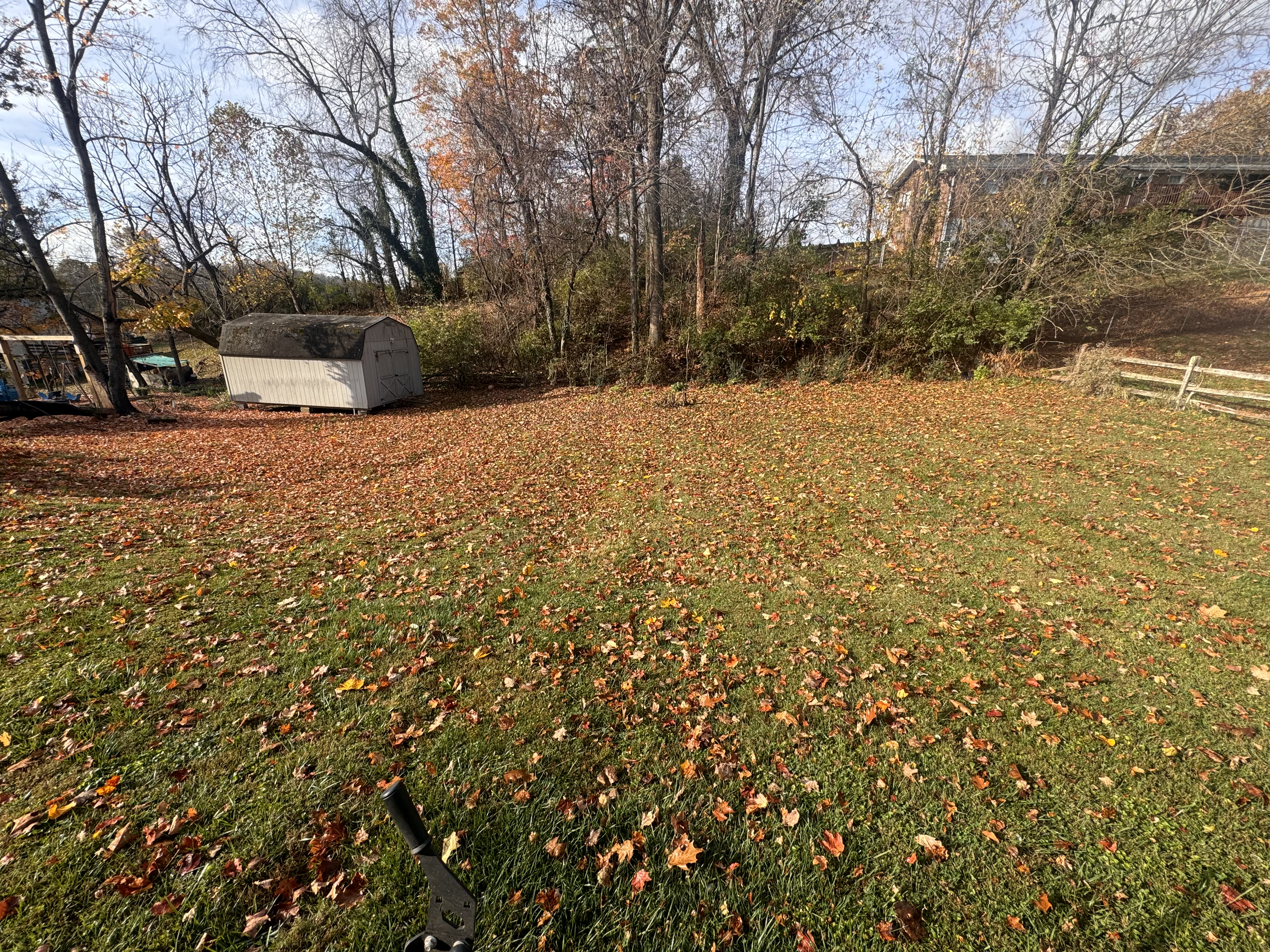 Fall property before cleanup