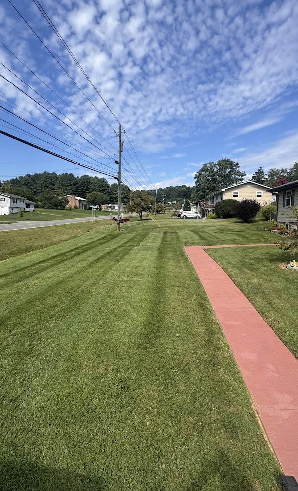 Freshly striped lawn