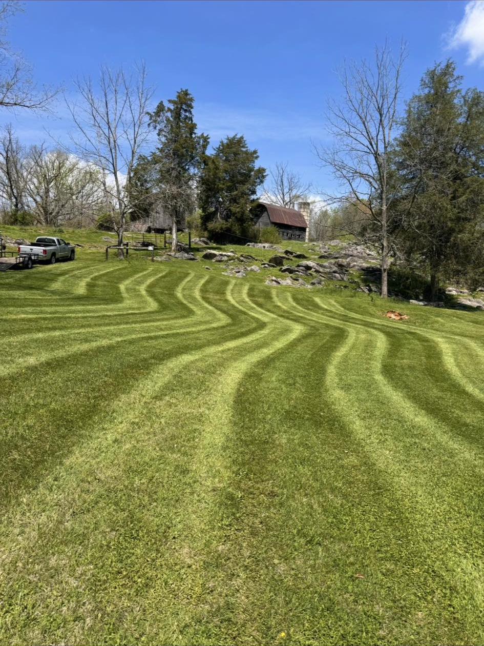 Professional mowing results